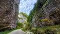 ZÃÆrneÃâ¢tilor Gorges, Piatra Craiului National Park, Romania